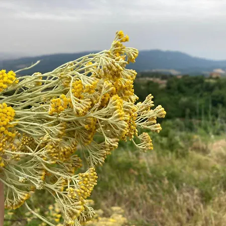 Piccola Casa Toscana Con Giardino Con Vista Mozzafiato Holiday home